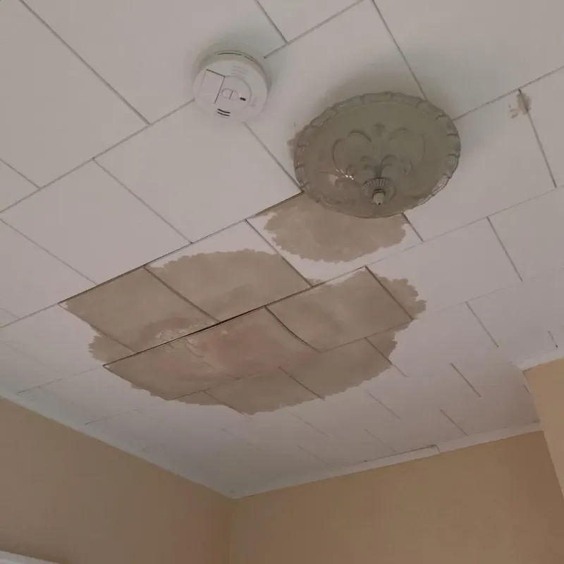 Ceiling Water Damage Repair in Madison County, NE