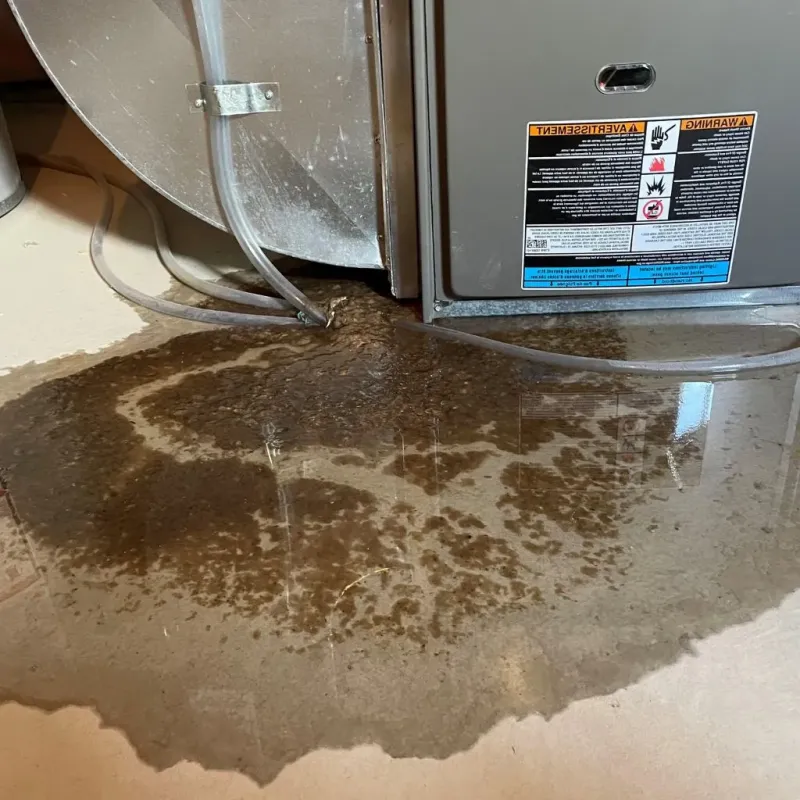 Pipe Burst and Leak Restoration in Madison County, NE